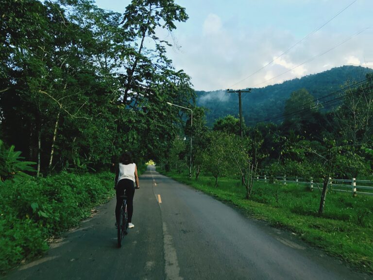 Cyclist riding through a lush green road towards mist-covered hills at Mandi Gwal Pahari, reflecting the calm lifestyle near CS Realty Suvilasa Villas Gurgaon and the appeal of Luxury Villas on Mandi Gwal Pahari Road featured in the blog Where the City Ends and the Greens Begin: Discovering Mandi–Gwal Pahari.