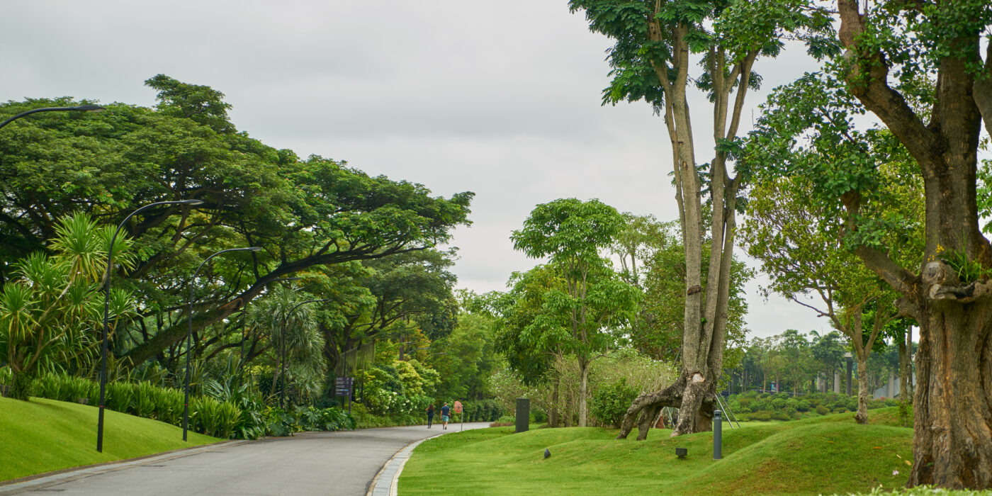 Green residential stretch between Delhi and Gurgaon at Mandi Gwal Pahari Road