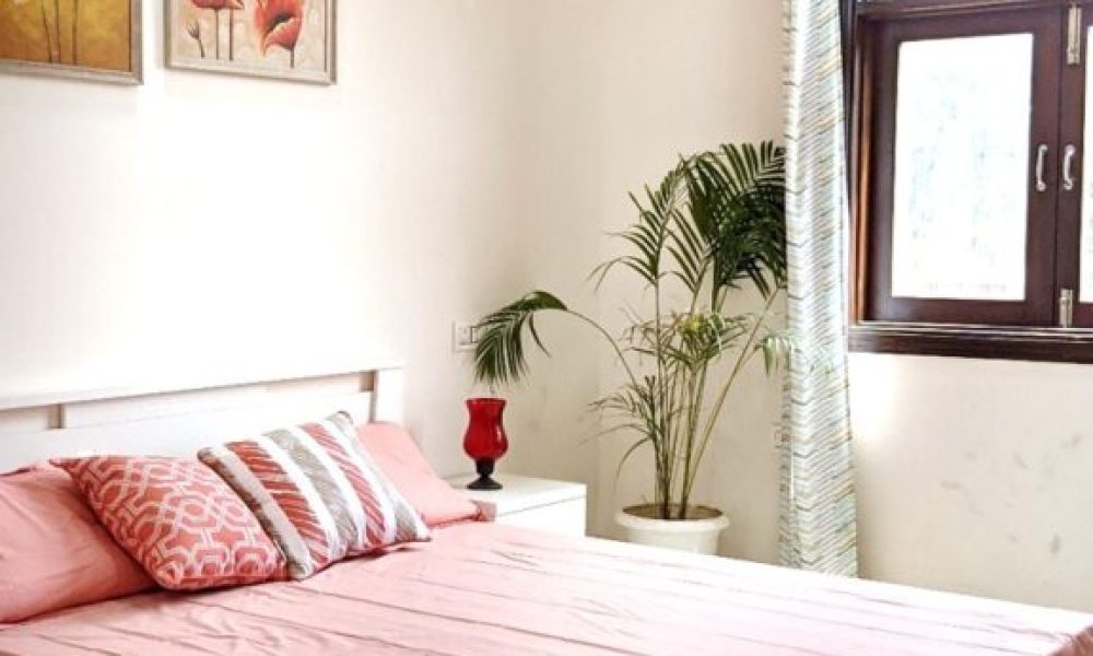 Aravalli-Koral-2-7-576x1024